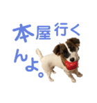kukkarussel（個別スタンプ：8）
