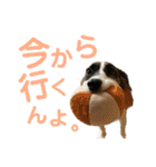 kukkarussel（個別スタンプ：9）