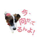 kukkarussel（個別スタンプ：10）