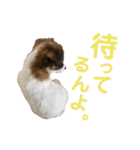 kukkarussel（個別スタンプ：11）
