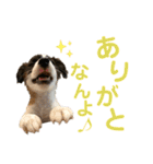 kukkarussel（個別スタンプ：15）
