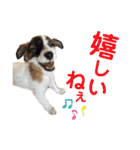 kukkarussel（個別スタンプ：18）