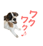 kukkarussel（個別スタンプ：21）