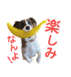 kukkarussel（個別スタンプ：23）