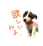 kukkarussel（個別スタンプ：24）