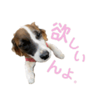 kukkarussel（個別スタンプ：25）