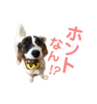 kukkarussel（個別スタンプ：29）