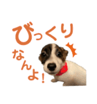 kukkarussel（個別スタンプ：30）