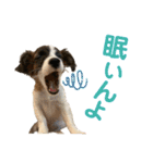 kukkarussel（個別スタンプ：31）