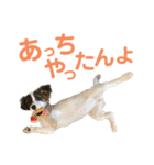 kukkarussel（個別スタンプ：34）