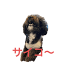 ましゴン太（個別スタンプ：3）