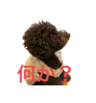 ましゴン太（個別スタンプ：4）