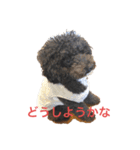 ましゴン太（個別スタンプ：9）