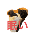 ましゴン太（個別スタンプ：14）
