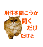 むぎまる君スタンプ（個別スタンプ：17）