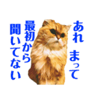 むぎまる君スタンプ（個別スタンプ：18）