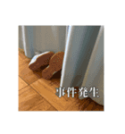 絶妙に使い所のないあたおかスタンプ（個別スタンプ：24）