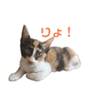 すずはちスタンプ（個別スタンプ：24）
