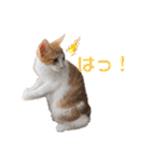 すずはちスタンプ（個別スタンプ：27）