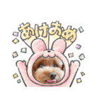 もなちゃん挨拶（個別スタンプ：3）