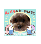 もなちゃん挨拶（個別スタンプ：4）