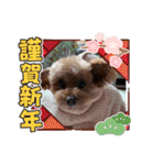 もなちゃん挨拶（個別スタンプ：5）