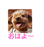 もなちゃん挨拶（個別スタンプ：7）