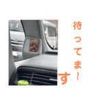 もなちゃん挨拶（個別スタンプ：9）