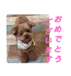 もなちゃん挨拶（個別スタンプ：15）
