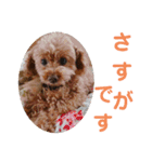もなちゃん挨拶（個別スタンプ：20）