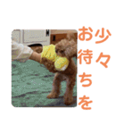 もなちゃん挨拶（個別スタンプ：23）