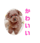 もなちゃん挨拶（個別スタンプ：26）