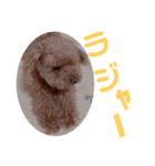 もなちゃん挨拶（個別スタンプ：27）