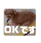 もなちゃん挨拶（個別スタンプ：28）