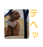 もなちゃん挨拶（個別スタンプ：31）