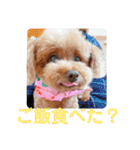 もなちゃん挨拶（個別スタンプ：33）