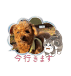 もなちゃん挨拶（個別スタンプ：39）