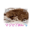 もなちゃん挨拶（個別スタンプ：40）