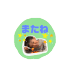 いしかわきょうだい（個別スタンプ：5）