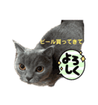 なおきんぐ②（個別スタンプ：23）