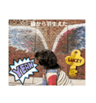 どーら（ミニチュアシュナウザーの女の子）（個別スタンプ：26）
