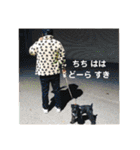 どーら（ミニチュアシュナウザーの女の子）（個別スタンプ：39）