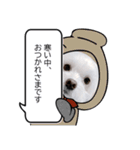 年中使える白い犬（個別スタンプ：8）