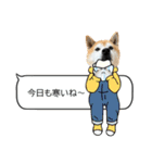 年中使える柴犬（個別スタンプ：19）