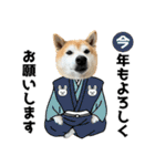 年中使える柴犬（個別スタンプ：24）