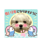 SENAN♡♡♡（個別スタンプ：4）