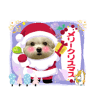 SENAN♡♡♡（個別スタンプ：6）