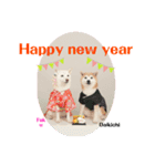 大吉＆福 柴犬スタンプ2022冬（個別スタンプ：3）