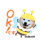 大吉＆福 柴犬スタンプ2022冬（個別スタンプ：8）