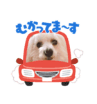 のあのあえりー（個別スタンプ：1）